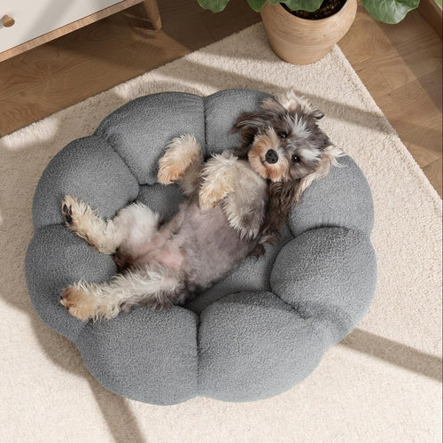 Wiggly Tails Calming Bed for Dogs