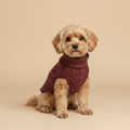 Calm Knit Comfort Sweater for Dogs